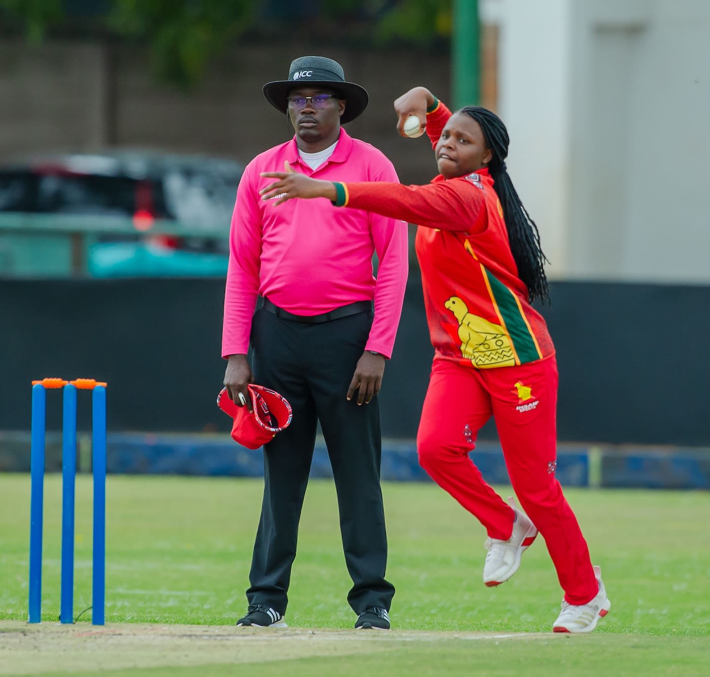 Beloved Biza took two wickets