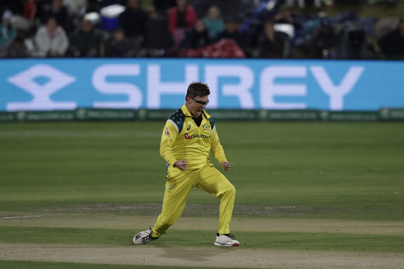 Adam Zampa celebrates after dismissing Tristan Stubbs