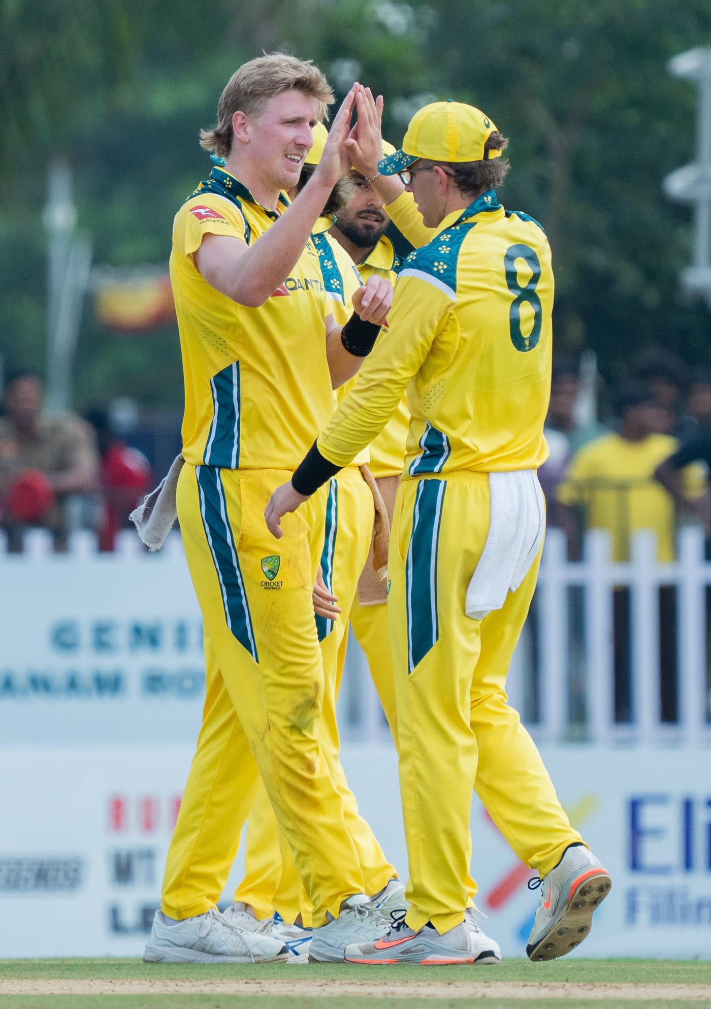 Will Sutherland celebrates a wicket with Todd Murphy