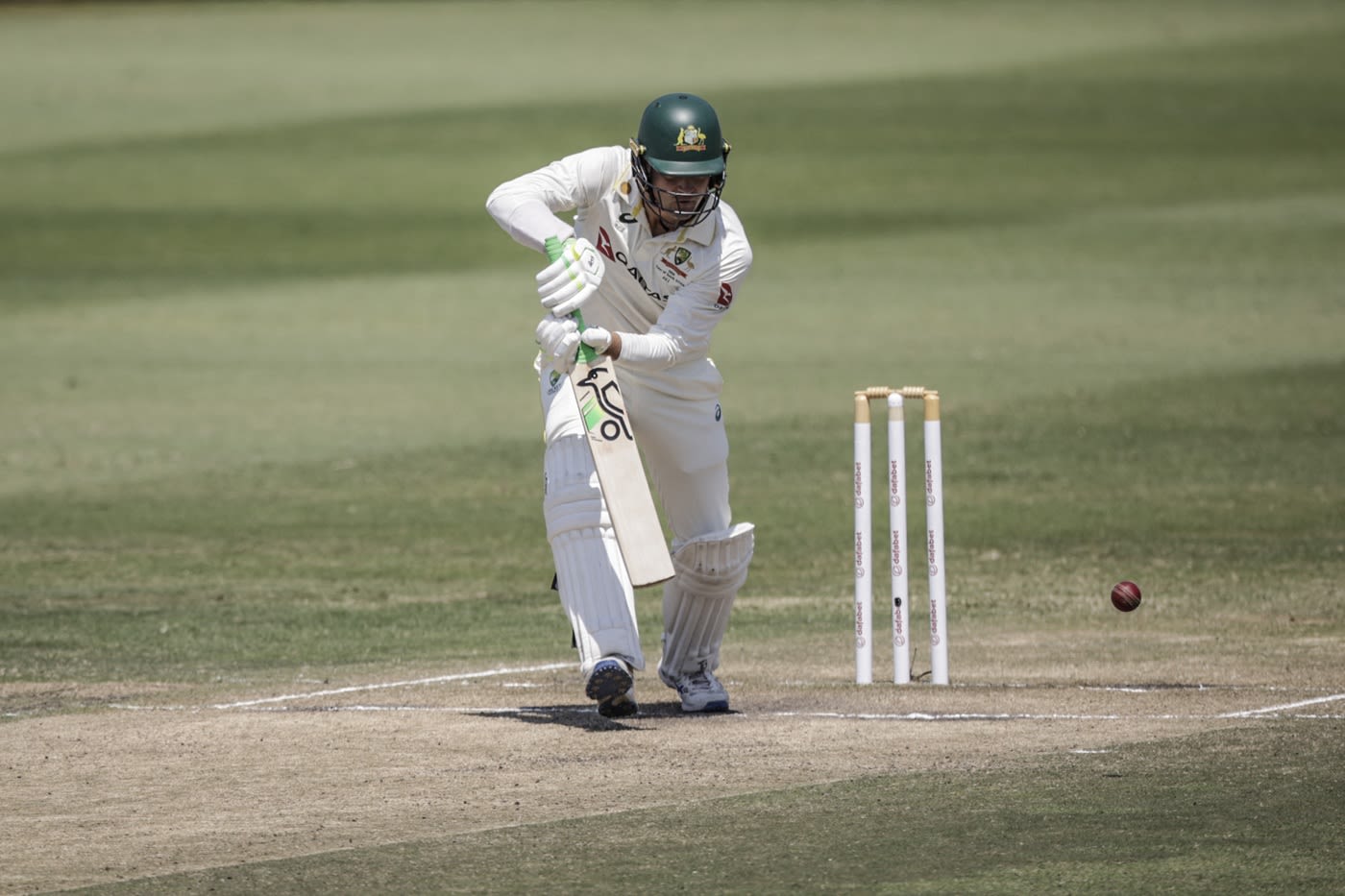 Alex Carey drives off the front foot