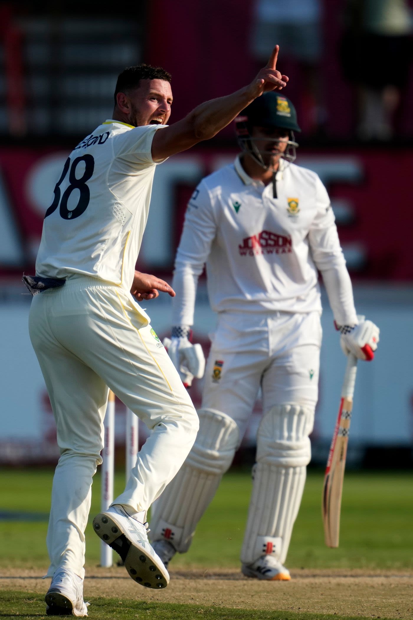 Josh Hazlewood pinned David Bedingham lbw