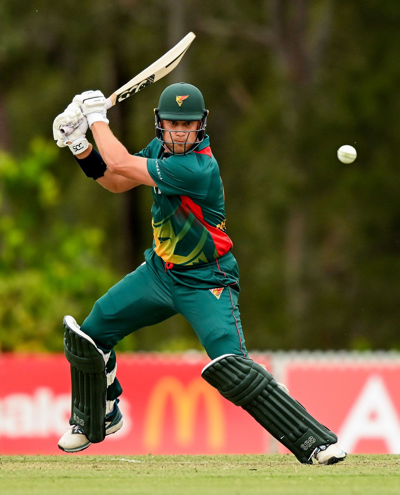 Will Prestwidge hit 71 off 56 balls
