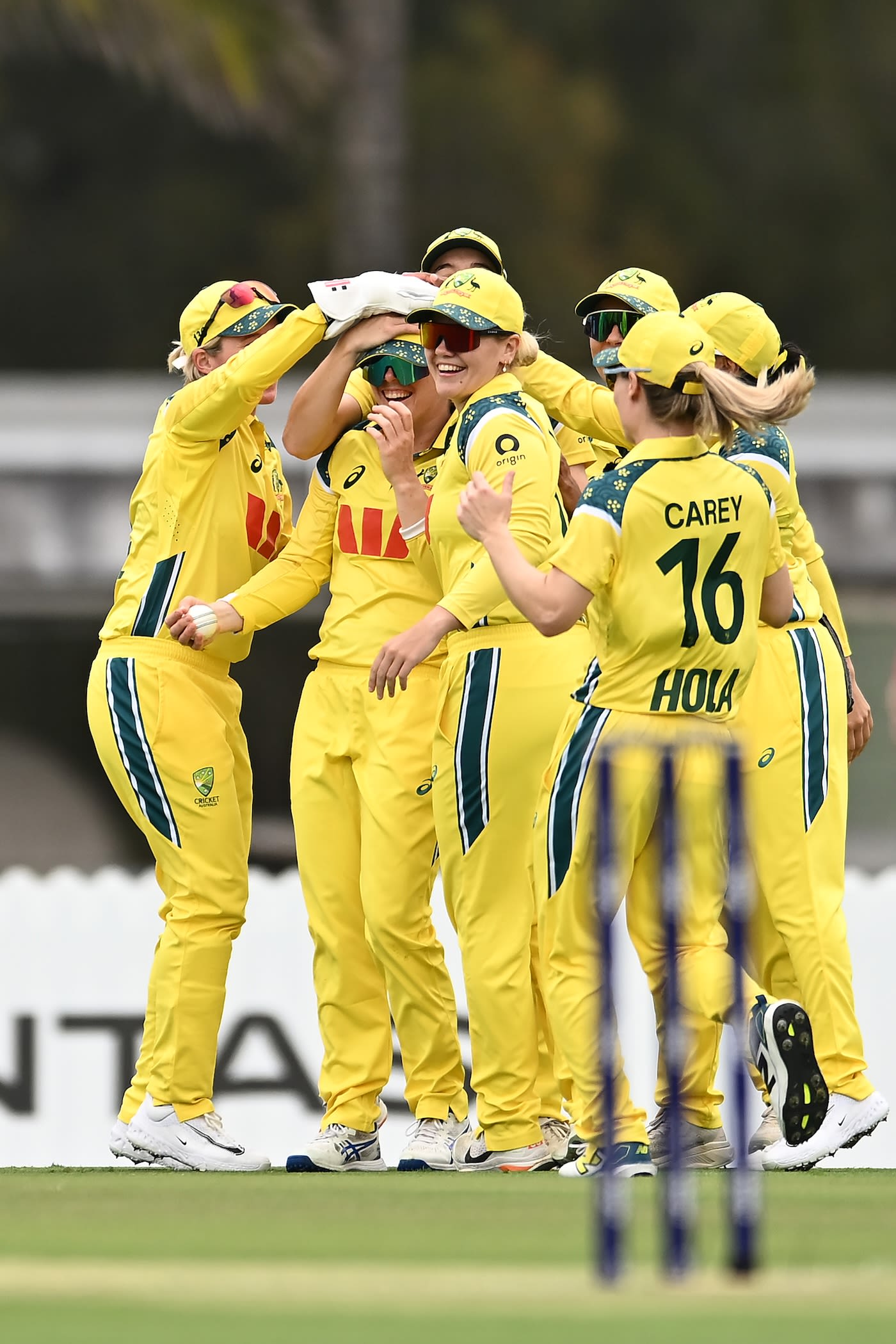 Australia got the first wicket in the third over