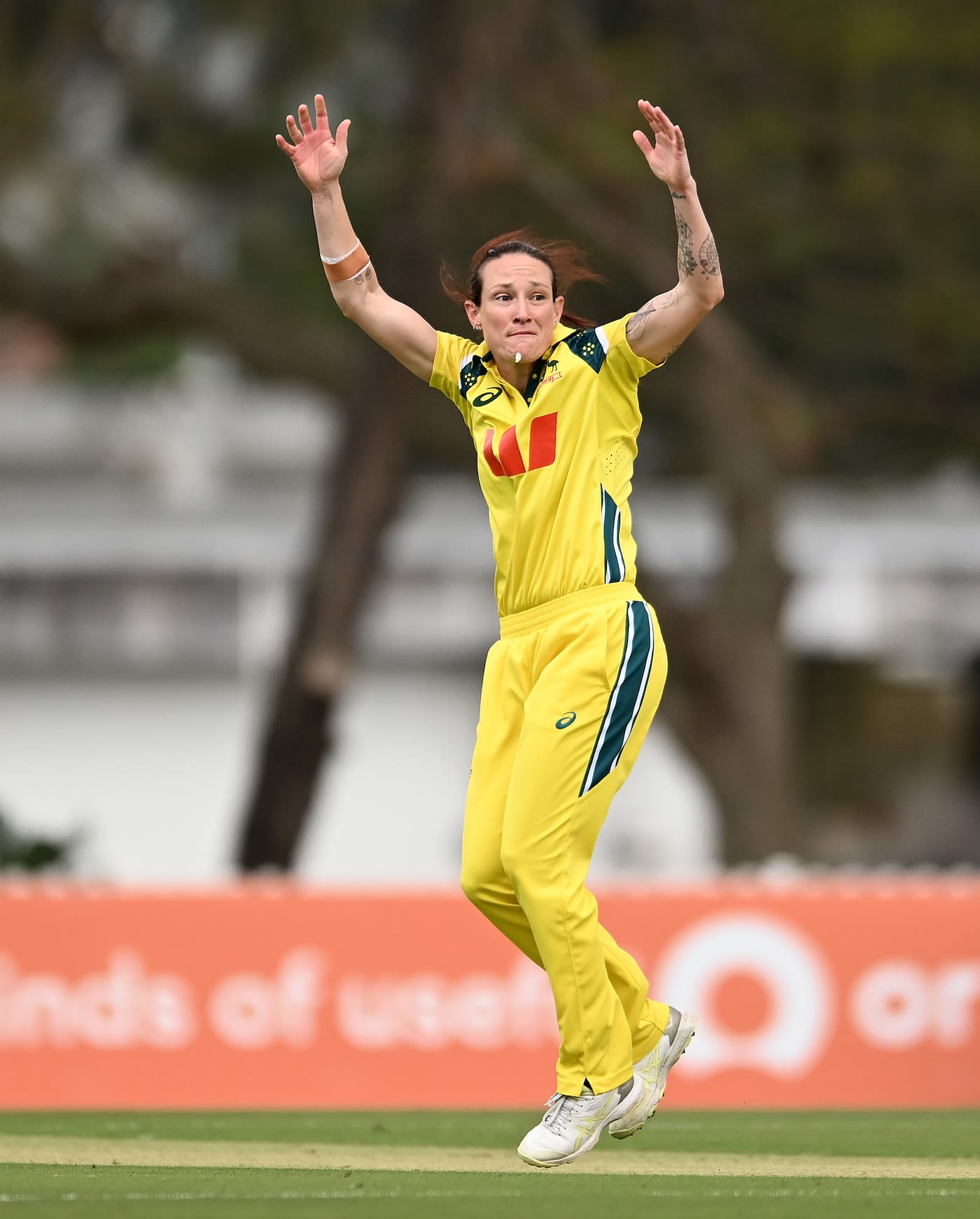 Megan Schutt picked up her third wicket in the ninth over