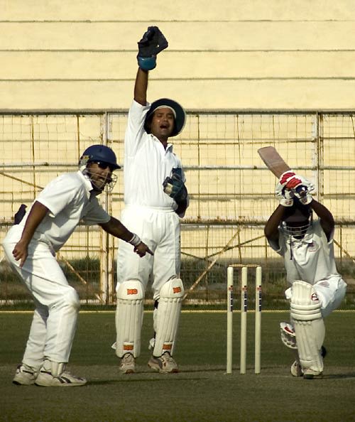 Punjab wicketkeeper Pankaj Dharmani appeals unsuccessfully for an lbw against B Sumanth