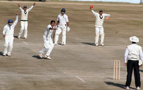 Hemant Dogra stands his ground while the Rajasthan bowlers make an unsuccessful appeal