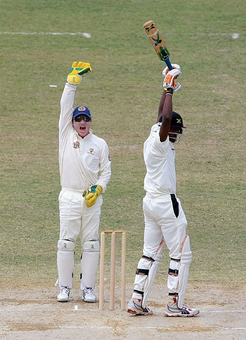 Brad Haddin appeals for Lorenzo Ingram's wicket