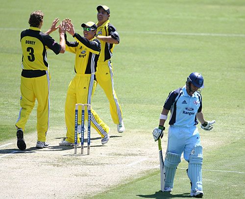 Brett Dorey celebrates Phillip Hughes' dismissal