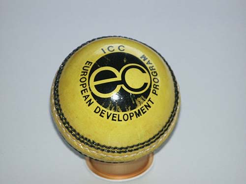 The commemorative ball