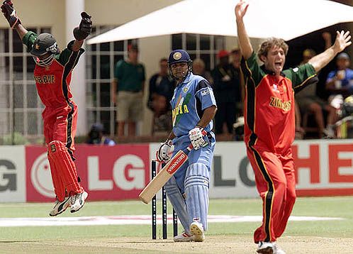 Tatenda Taibu and bowler Guy Whittall celebrate the dismissal of Virenda Sehwag