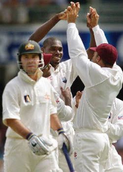 Black congratulated by teammates after picking up the wicket of Ponting